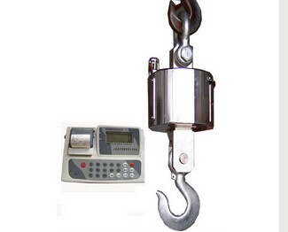 面對(duì)無(wú)線電子吊秤的促銷要擦亮眼睛選擇